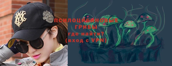стаф Богородск