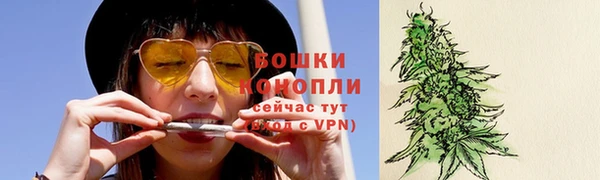 стаф Богородск