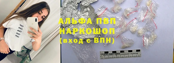 стафф Богданович
